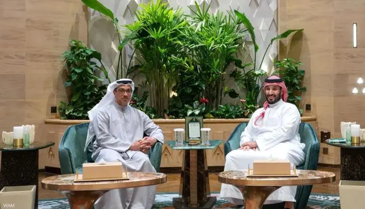 بن زايد وولي عهد السعودية يبحثان العلاقات الأخوية
