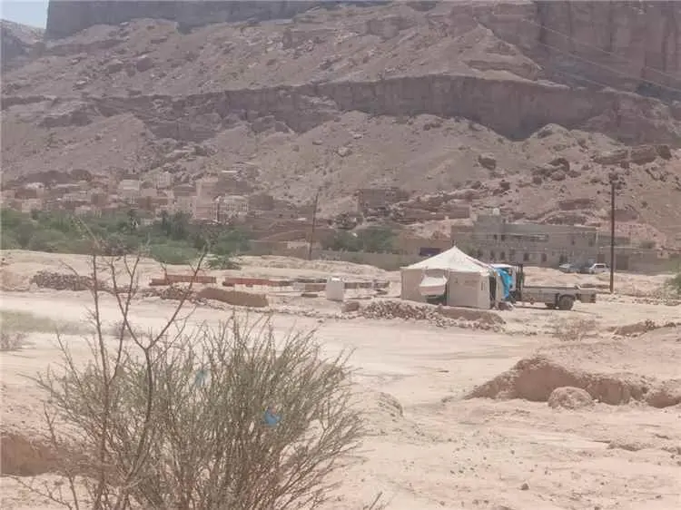 مطالبات في دوعن بتنظيم مواقع خلايا النحل حفاظًا عل...