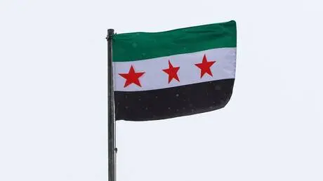 نائب المبعوث الأممي إلى سوريا يشيد بتحييد دمشق نفس...