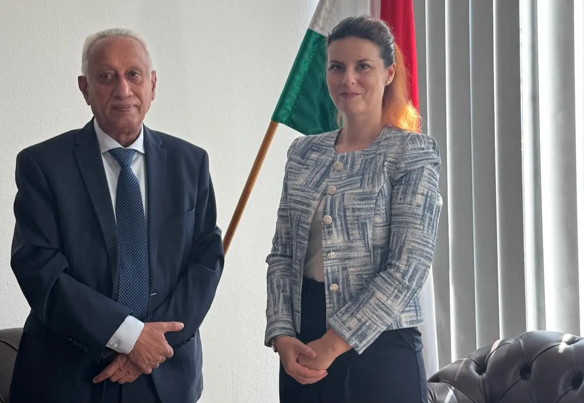 السفير أحمد ناجي يبحث مع مسؤولية مجرية سبل دعم الي...