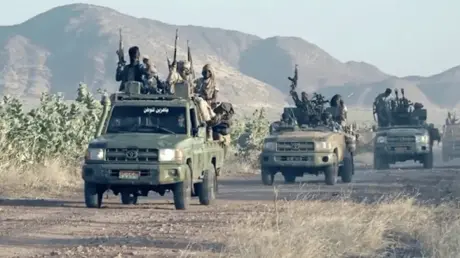 الجيش السوداني: نفذنا عملية نوعية ضد الدعم السريع...