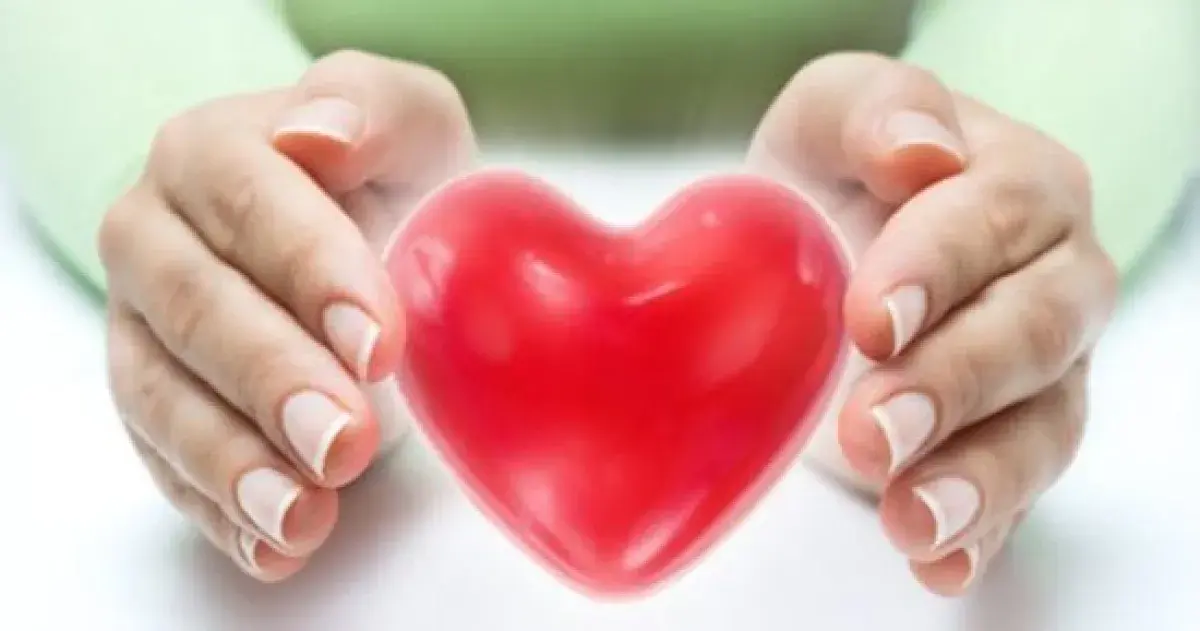وجبات اقتصادية لصحة القلب: 9 خيارات للحماية من الأ...