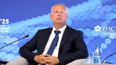 دميترييف يكشف المسؤول عن ارتفاع أسعار الكهرباء في...