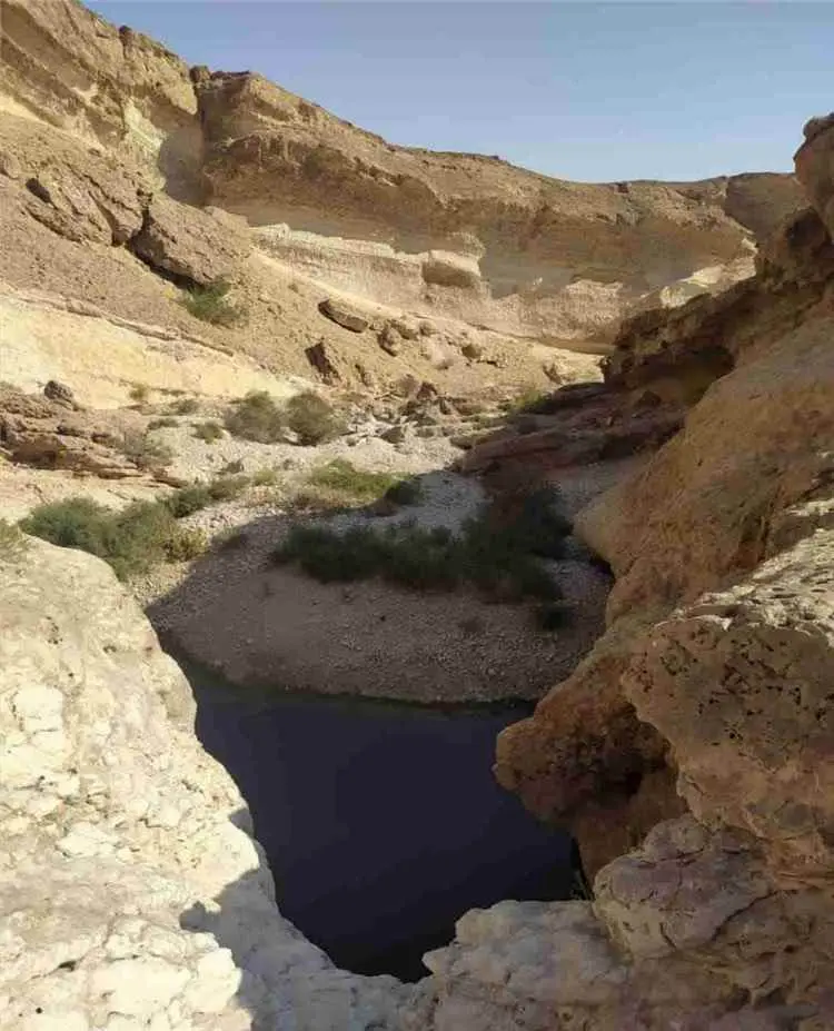 شبوة تتحرك لحماية مخزونها المائي.. لجنتان ميدانيتا...