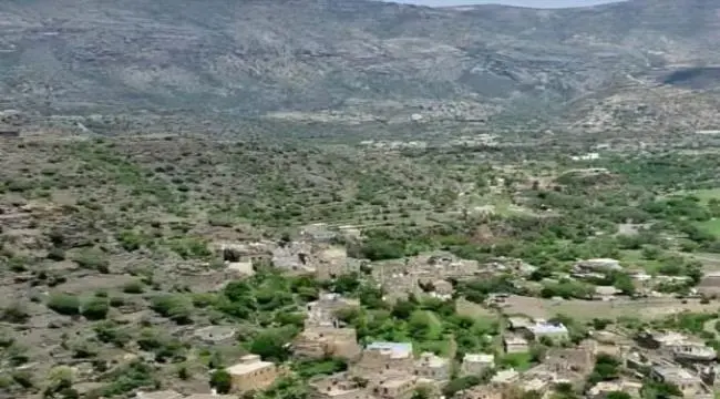 شهيد وجريح بقصف حوثي يستهدف مزارع المدنيين شمال ال...