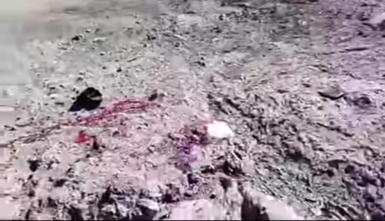 مقتل وإصابة مواطنين بقذائف حوثية استهدفت مزارع بال...