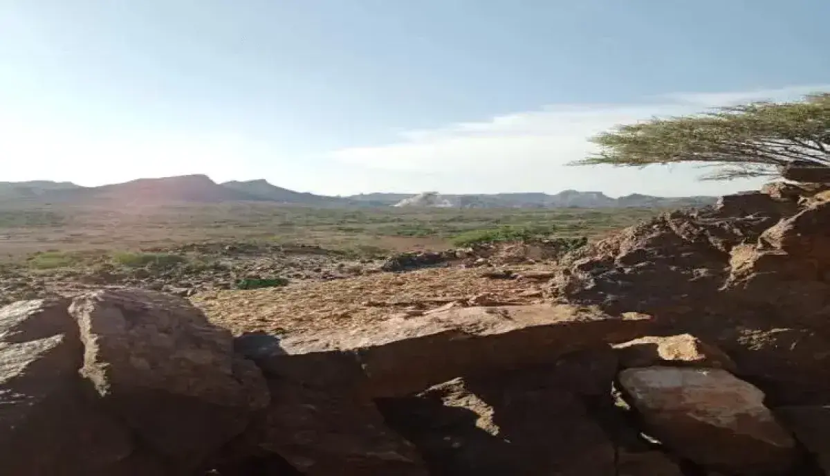 اسرار | ملحمة (جبل سيف): انكسار هجوم حوثي واسع على...