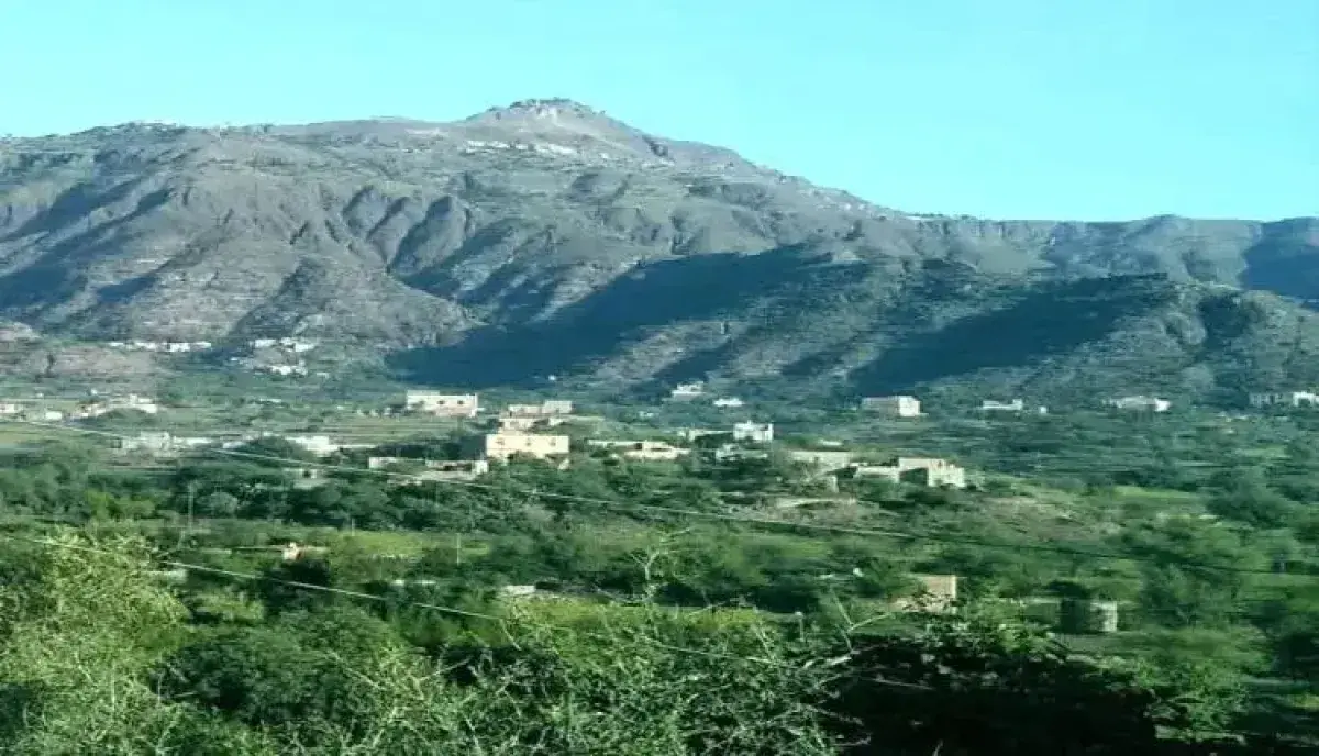 في تعز .. القوات الحكومية تصد هجوم حوثي في الشقب و...