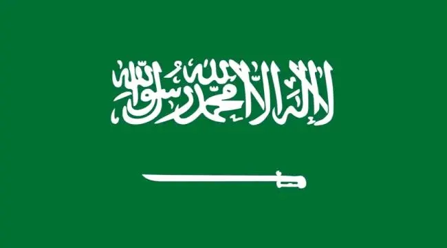 السعودية أمام مجلس الأمن: لن نسمح للحوثي بتحويل اليمن لمنصة تهديد وسنردع كل اعتداء على أراضينا .