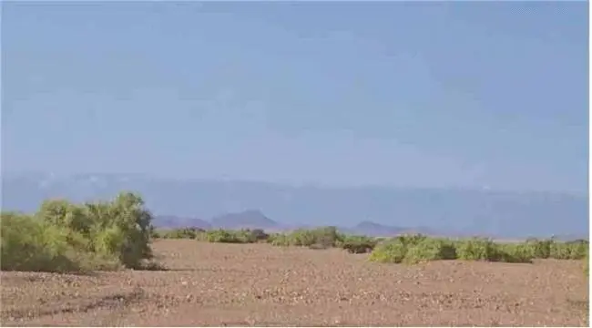 مساجد الصبيحة ورأس العارة تعلن النفير العام لدعم ا...