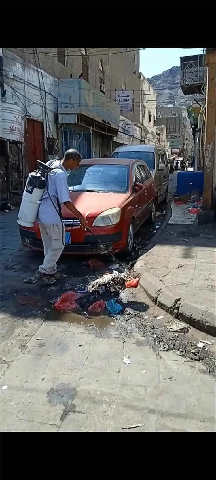 التواهي تواصل حملات الرش الرذاذي لمكافحة الحشرات ا...