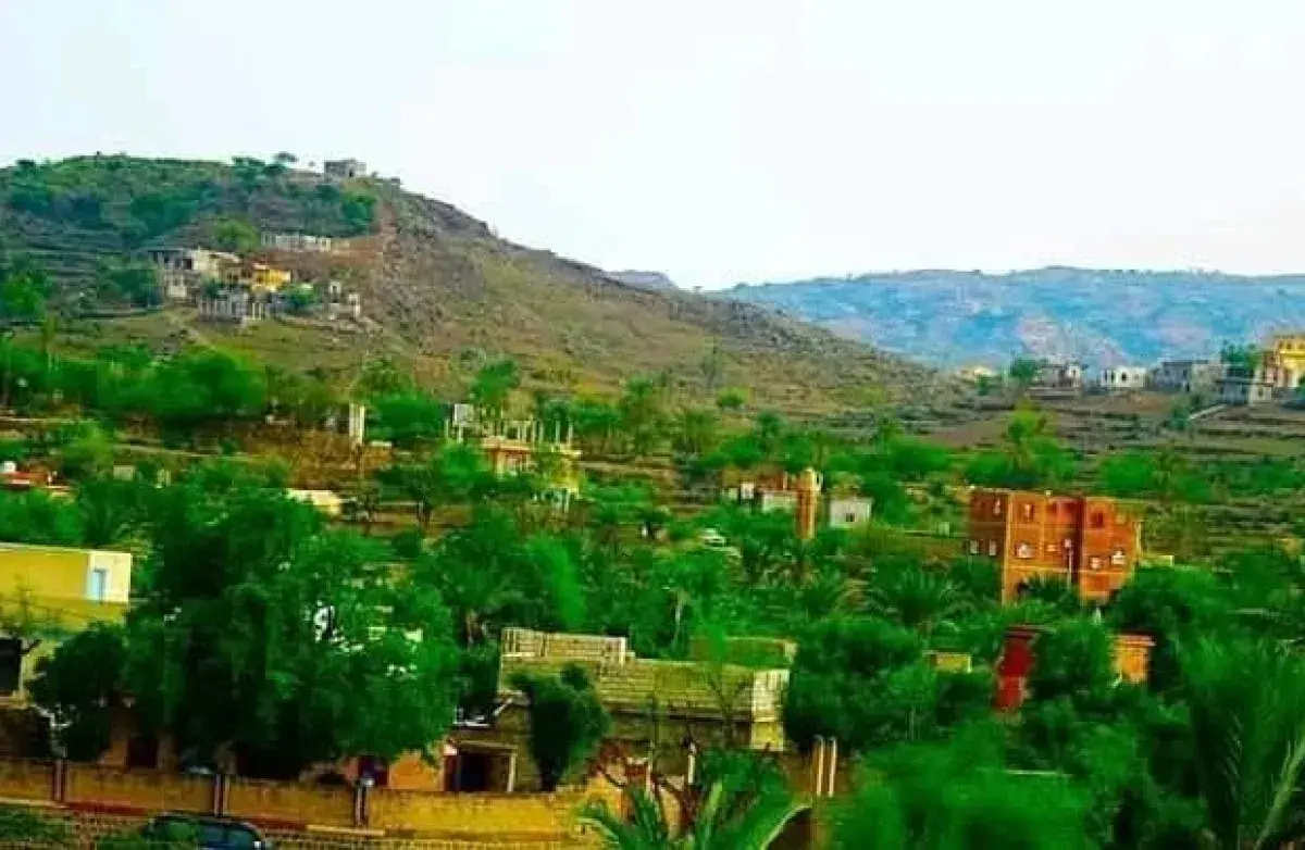 مذبحة مروعة في تعز: الحوثيون يرتكبون جريمة حرب جديدة بقصف قرية "حِميَر"
