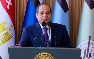 السيسي يوجه الشكر للإمارات والسعودية والكويت على د...