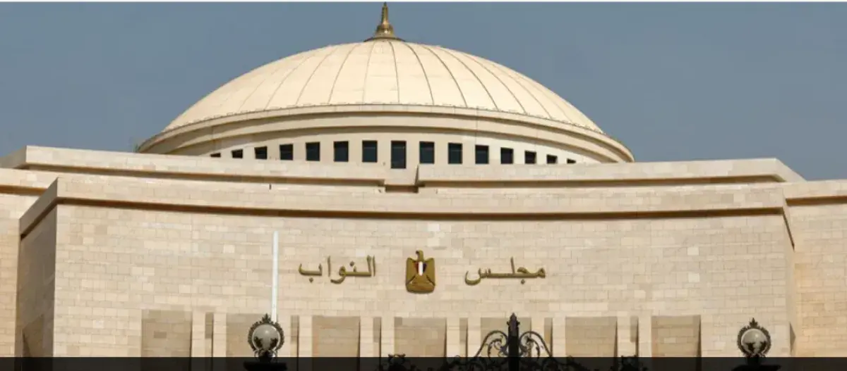 السيسي يدعو البرلمان لتفويضه بالتدخل دفاعاً عن الس...