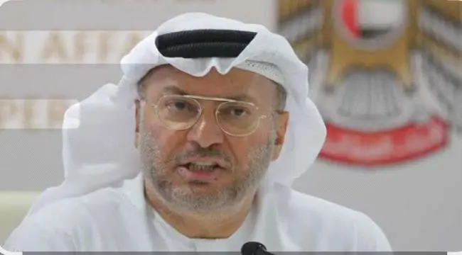 قرقاش: أمننا ومصيرنا مشترك مع السعودية.. والشراكة...