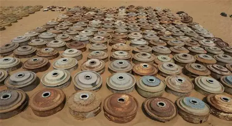 مسام ينزع 3542 لغماً وذخيرة خلال 16 يوما ويطهر أكث...