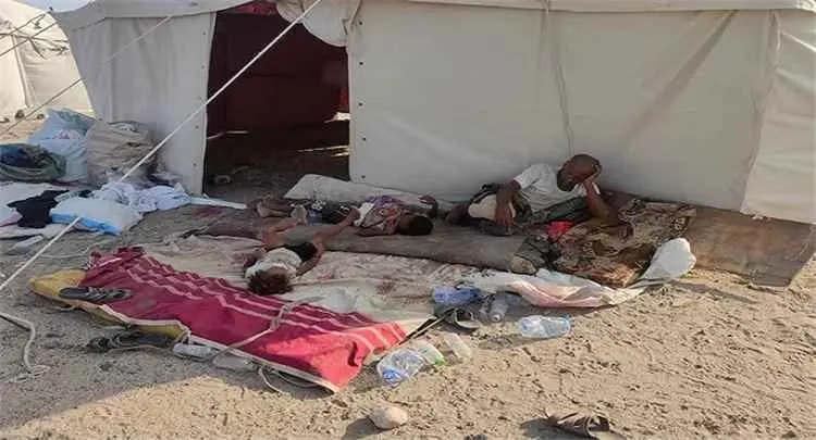 الأمم المتحدة: أكثر من ربع مليون يمني نزحوا من منا...