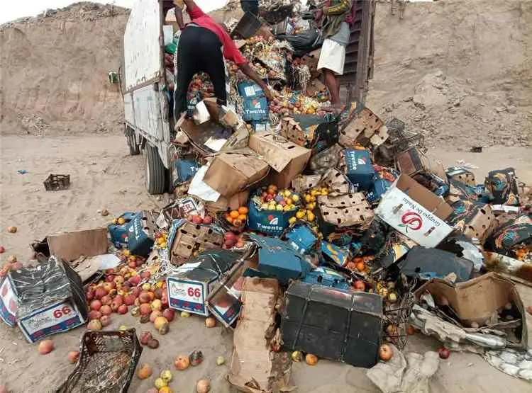 صحة البيئة بالمنصورة تتلف 20 طناً من الفواكة الفاسدة وغير الصالحة للاستهلاك البشري