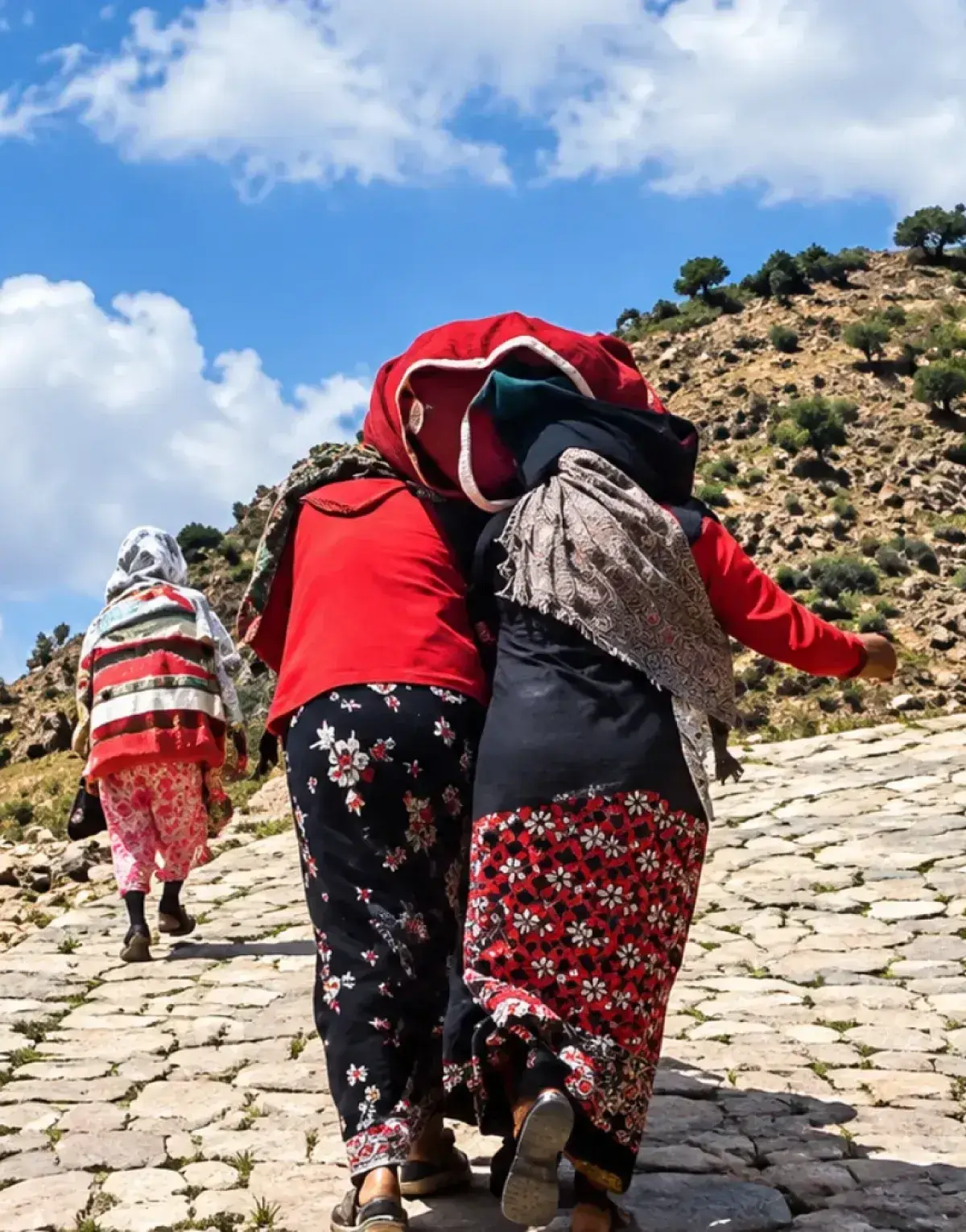 أم تحمل جثمان ابنتها في جبل صبر.. الحوثيون مجرمو ح...
