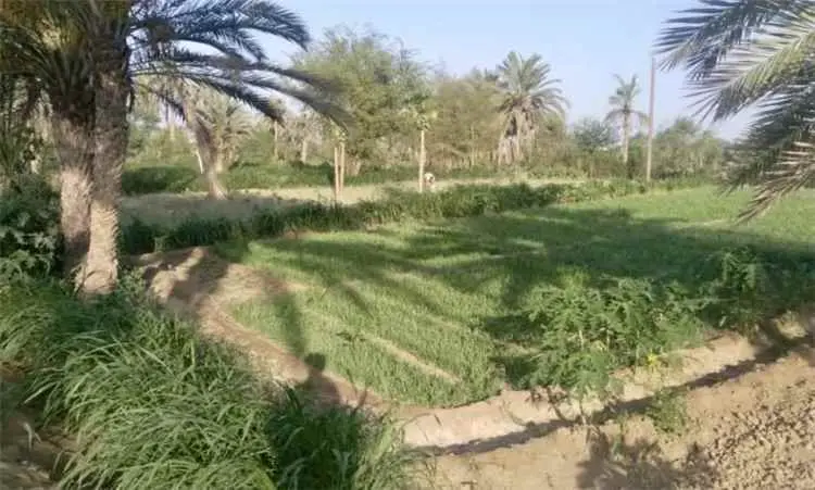 جحيم الصواريخ يُمطر "العربدي" في طور الباحة.. وأها...
