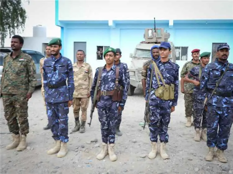 شرطة تبن تكشف تفاصيل اشتباك الفيوش وتعلن ضبط شخصين...