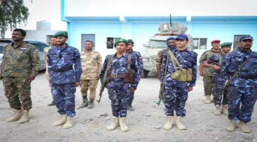شرطة تبن تكشف تفاصيل اشتباك الفيوش وتعلن ضبط شخصين...