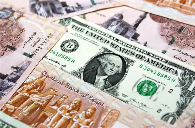 الجنيه المصري يهبط إلى مستوى قياسي أمام الدولار وس...