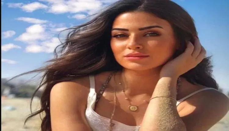 ميرنا نور الدين تنضم لبطولة مسلسل "180" إلى جانب ع...