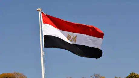 مصر.. مطالب بفضح أشخاص يتلقون تمويلات من الخارج