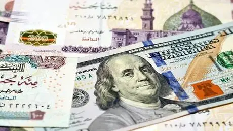 "تحذير من المرحلة القادمة في مصر".. خبير يتحدث عما...